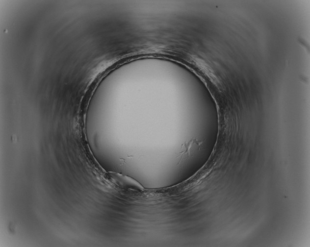 X0000091221308200708301442