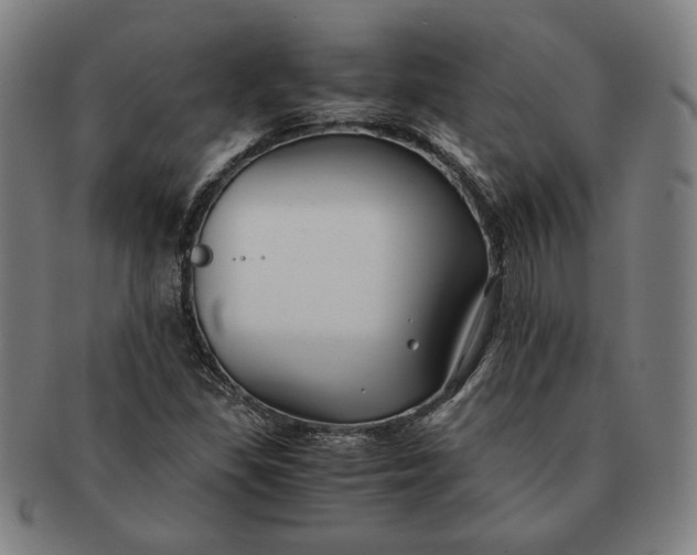 X0000091221309200708301442