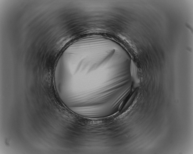 X0000091221313200708301442