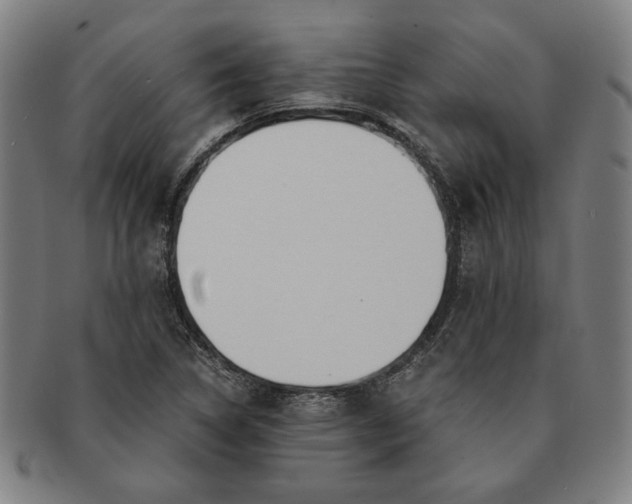 X0000091221314200708301442