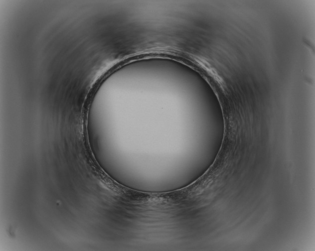 X0000091221316200708301442