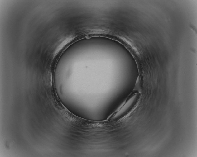 X0000091221317200708301442