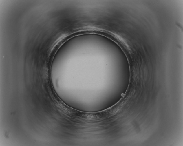 X0000091221318200708301442