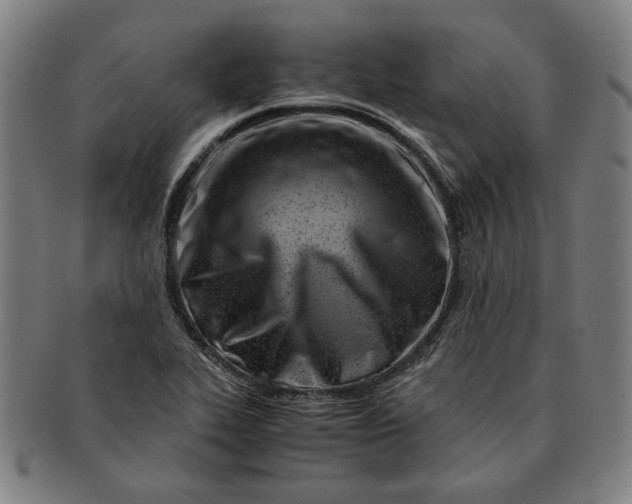 X0000091221319200708301442