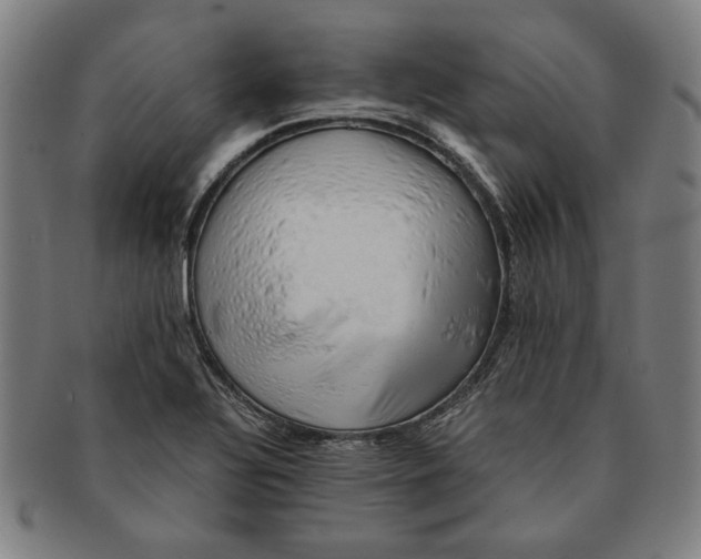 X0000091221320200708301442