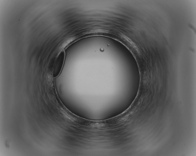 X0000091221321200708301442