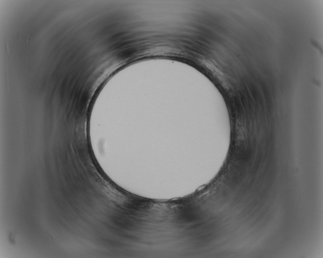 X0000091221322200708301442