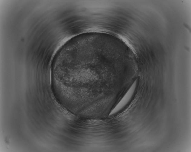 X0000091221323200708301442