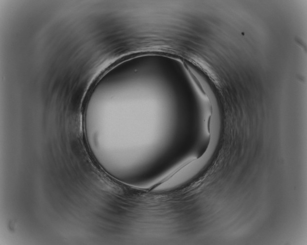 X0000091221324200708301442