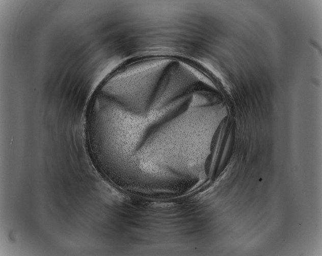 X0000091221325200708301442