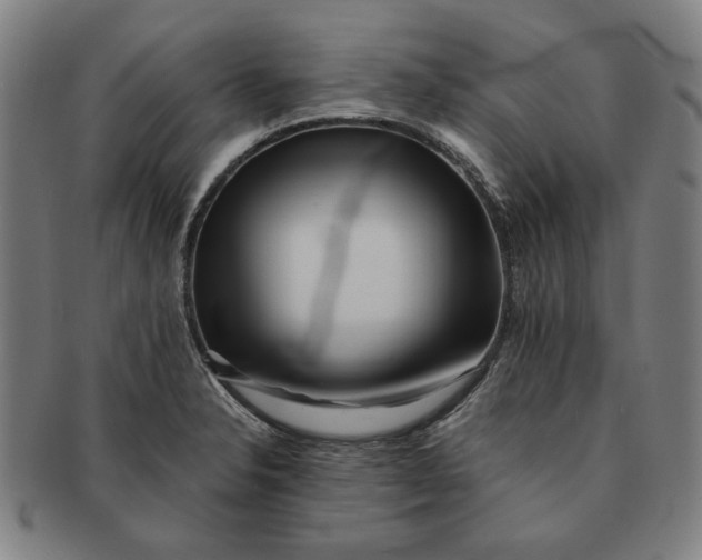 X0000091221326200708301442