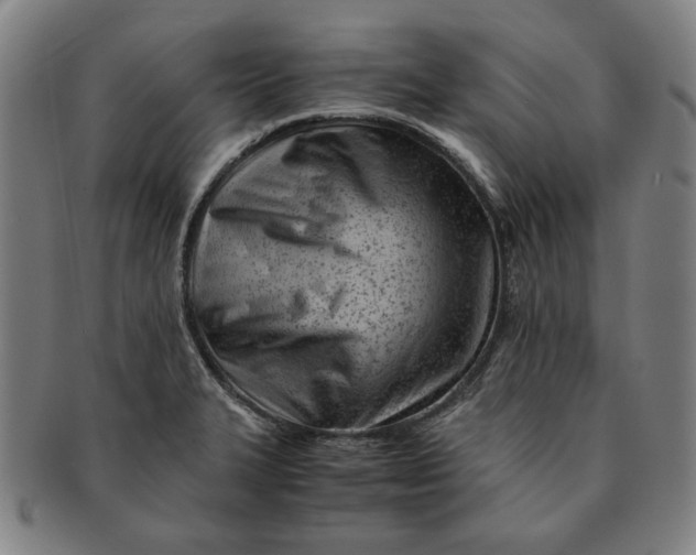 X0000091221327200708301442