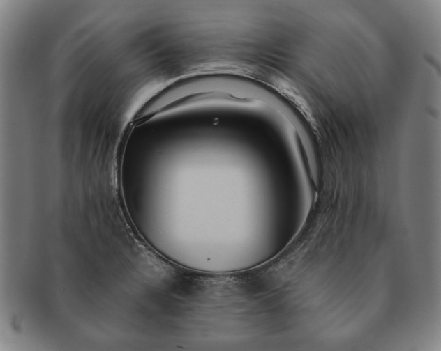 X0000091221328200708301442