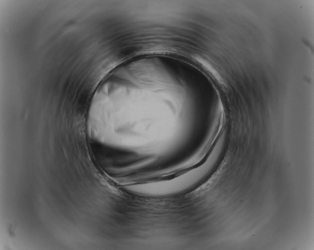 X0000091221329200708301442