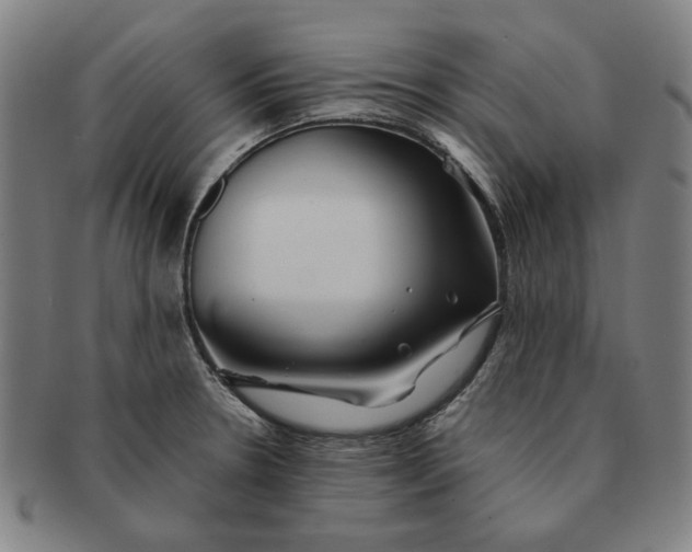 X0000091221330200708301442