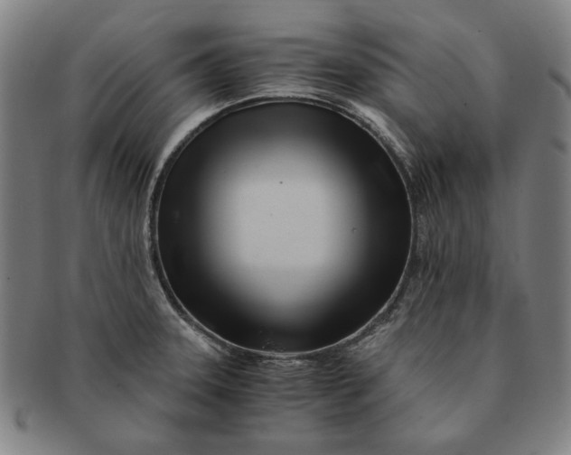 X0000091221331200708301442