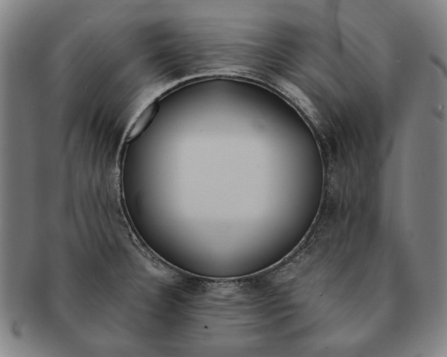 X0000091221332200708301442