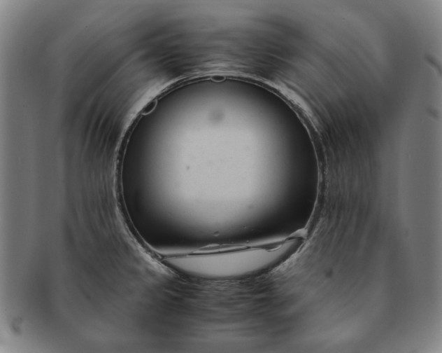 X0000091221333200708301442