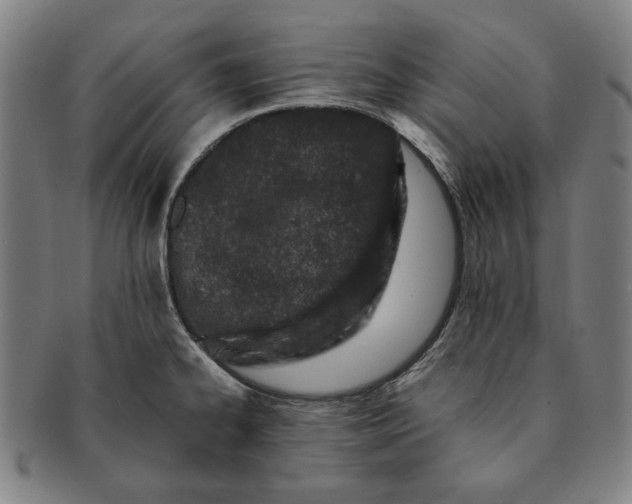 X0000091221334200708301443