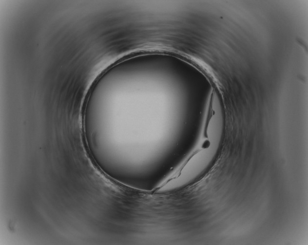 X0000091221335200708301443