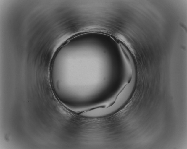 X0000091221336200708301443