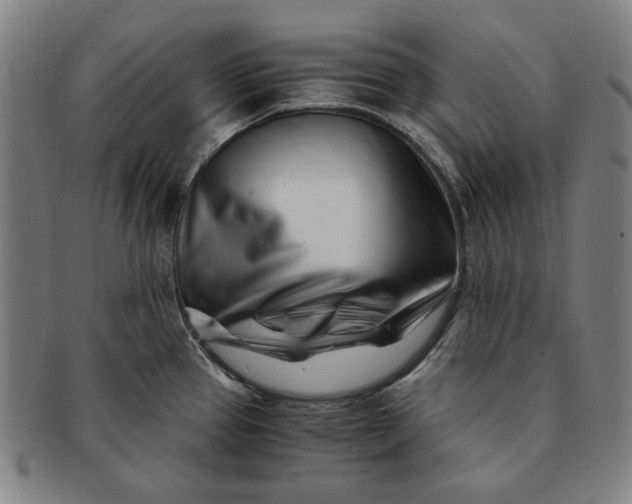 X0000091221337200708301443