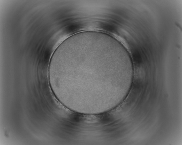 X0000091221338200708301443