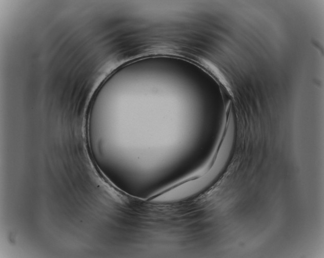 X0000091221339200708301443