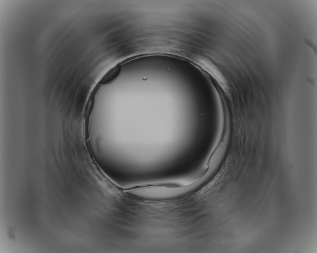 X0000091221340200708301443