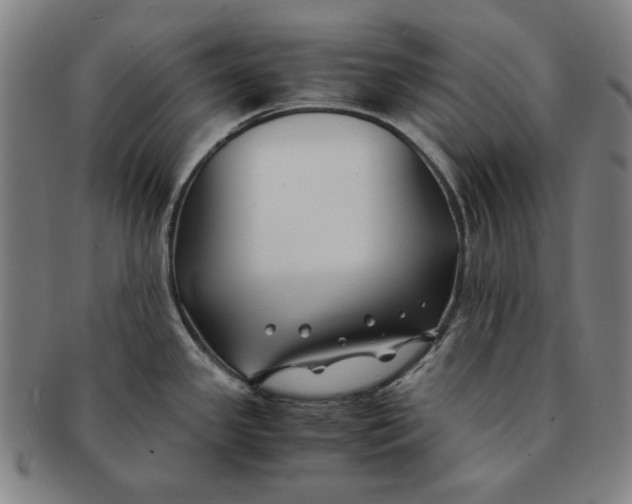 X0000091221341200708301443