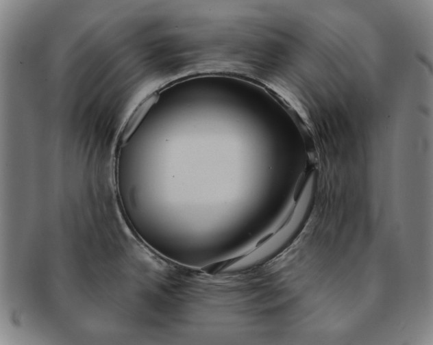 X0000091221342200708301443