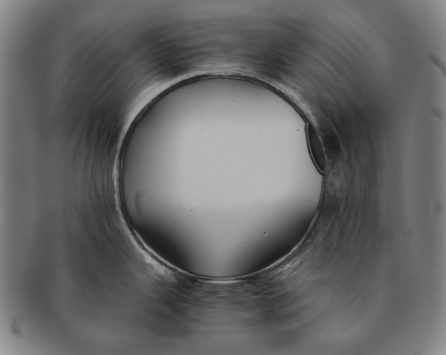 X0000091221343200708301443