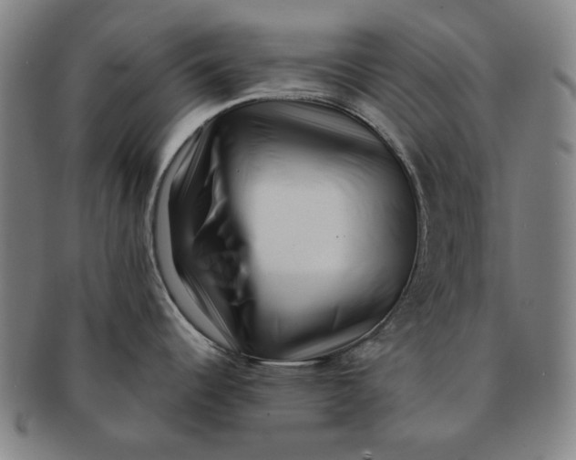 X0000091221344200708301443