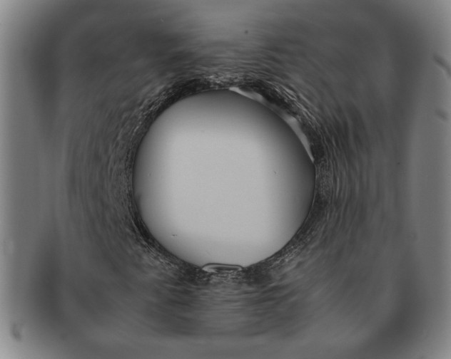 X0000091221345200708301442