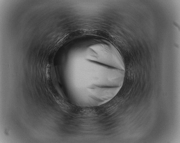 X0000091221346200708301442