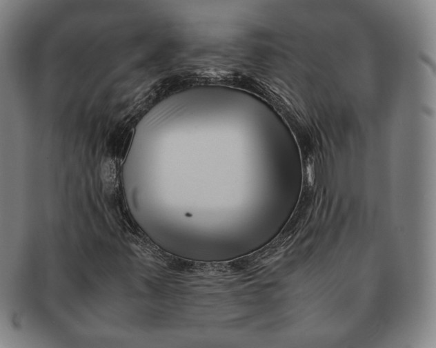 X0000091221347200708301442