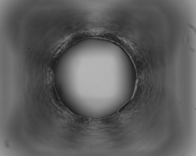 X0000091221349200708301442