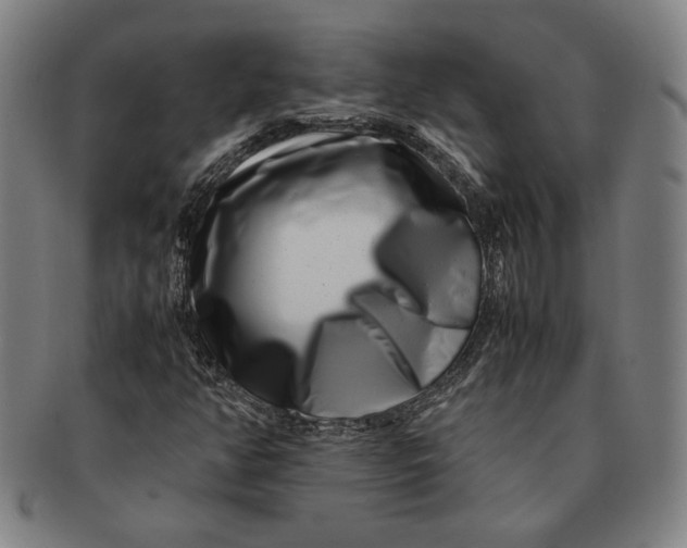 X0000091221350200708301442