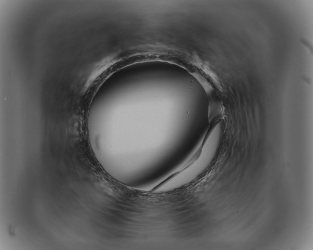 X0000091221352200708301442