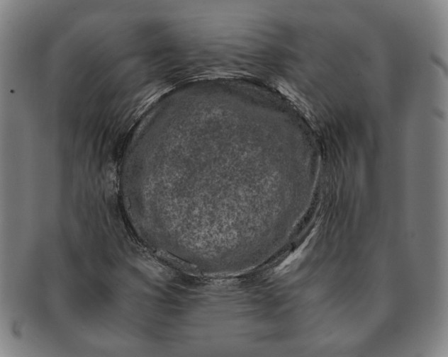 X0000091221353200708301442