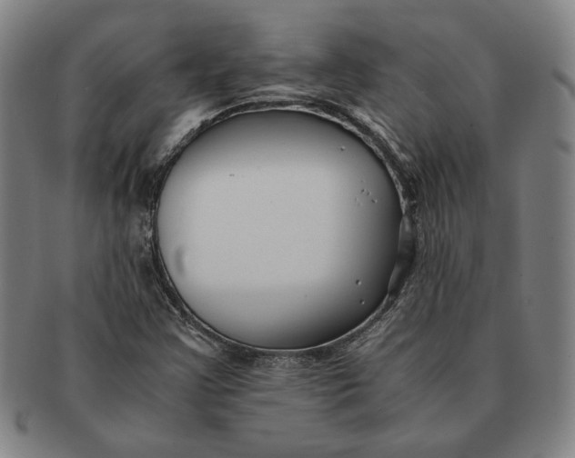 X0000091221355200708301442