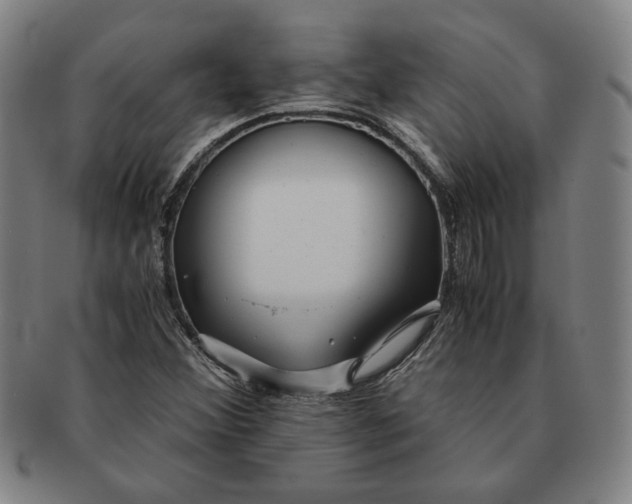 X0000091221356200708301442