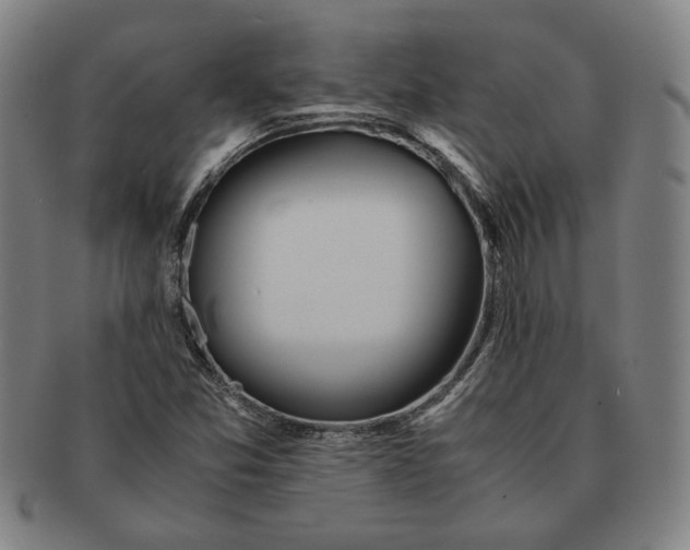 X0000091221357200708301442