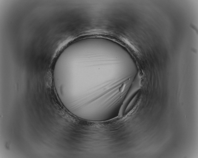 X0000091221358200708301442