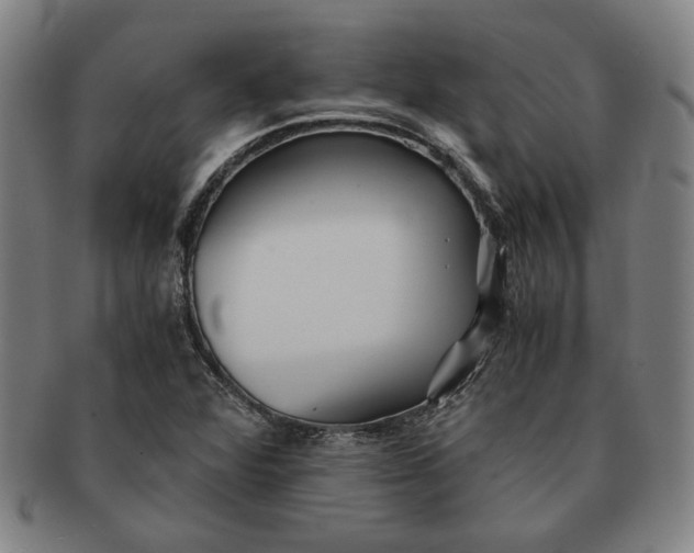 X0000091221360200708301442