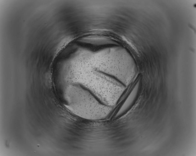 X0000091221362200708301442