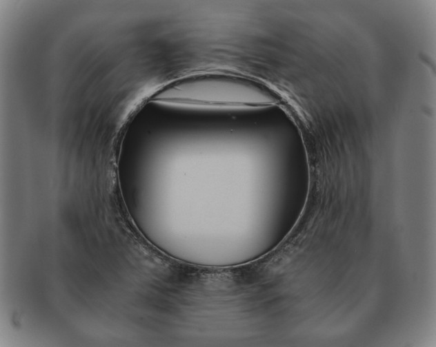 X0000091221363200708301442