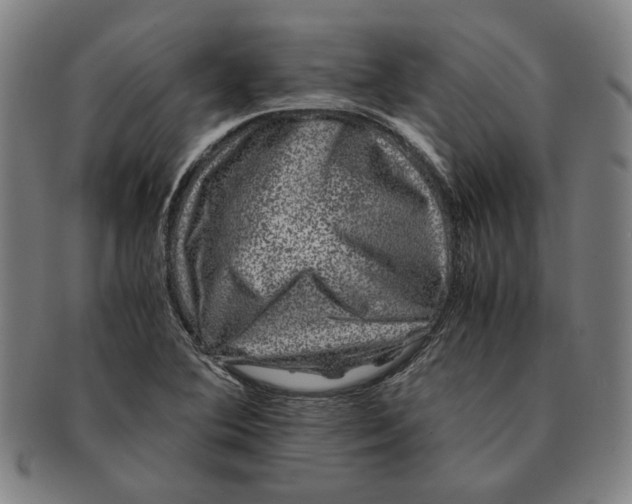 X0000091221364200708301442