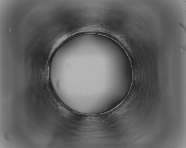 X0000091221366200708301442