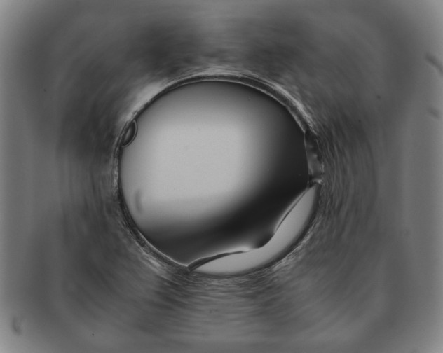 X0000091221367200708301442